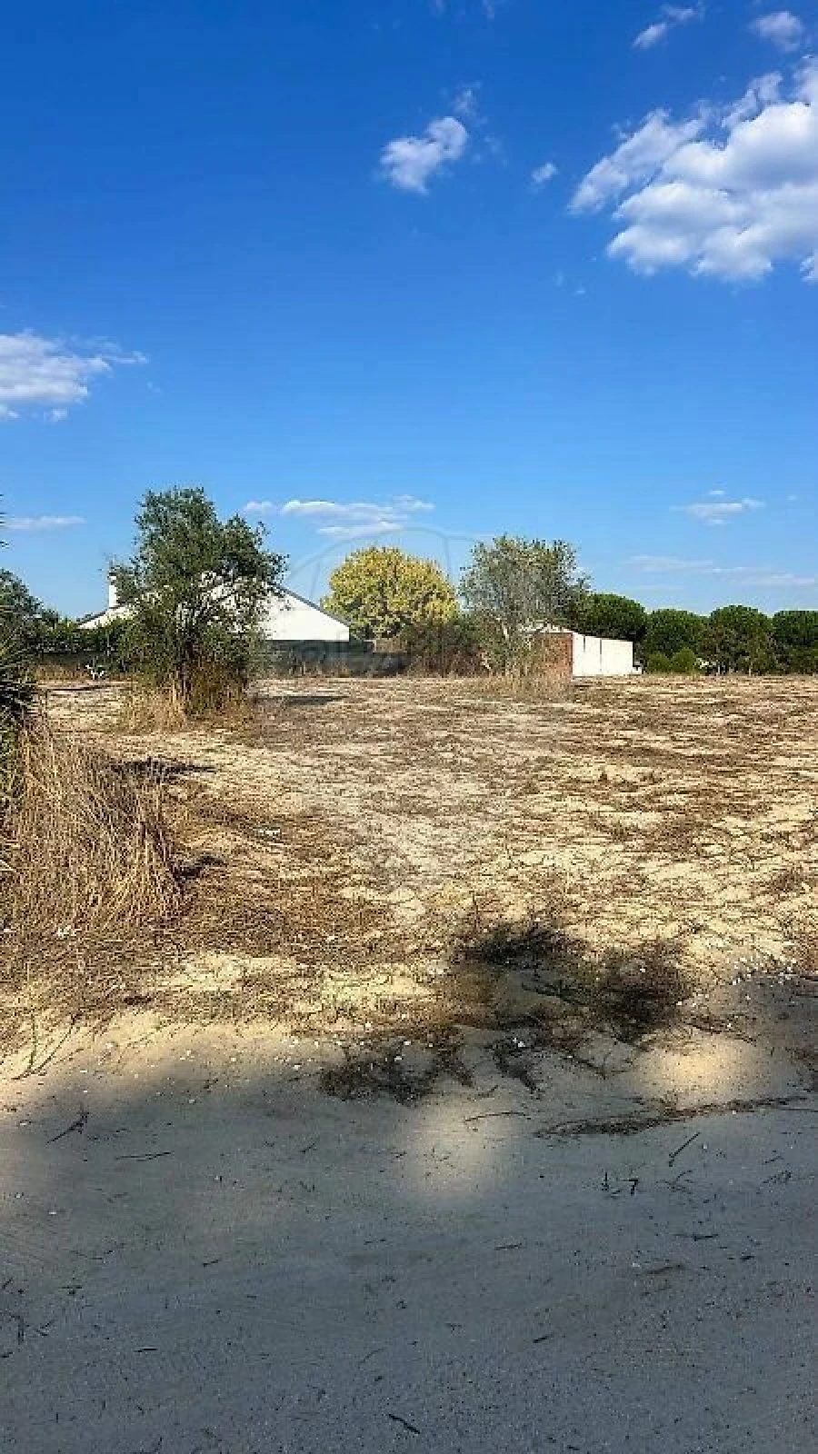 Terreno para Venda em Branca Foto 4