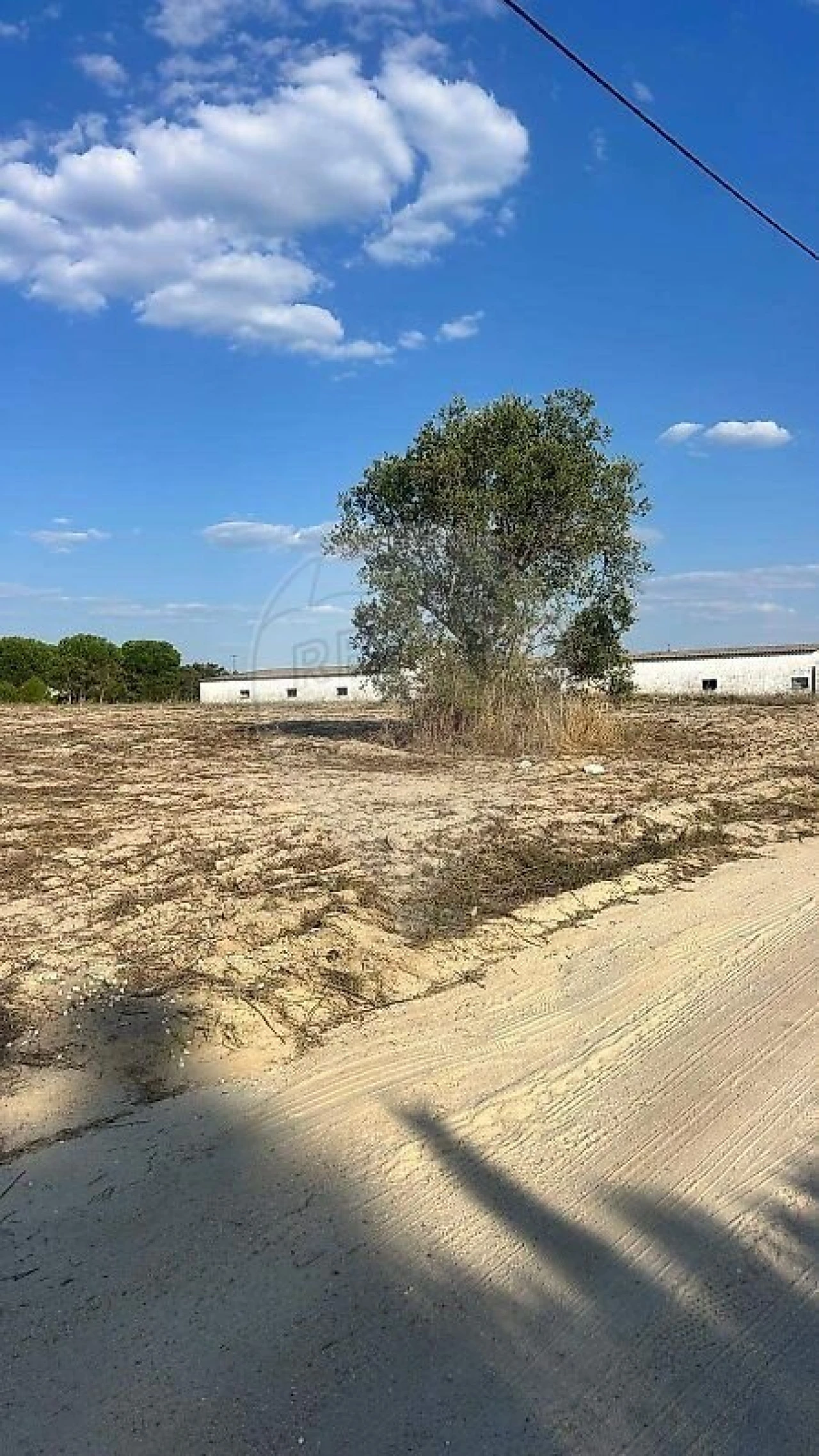 Terreno para Venda em Branca Foto 2