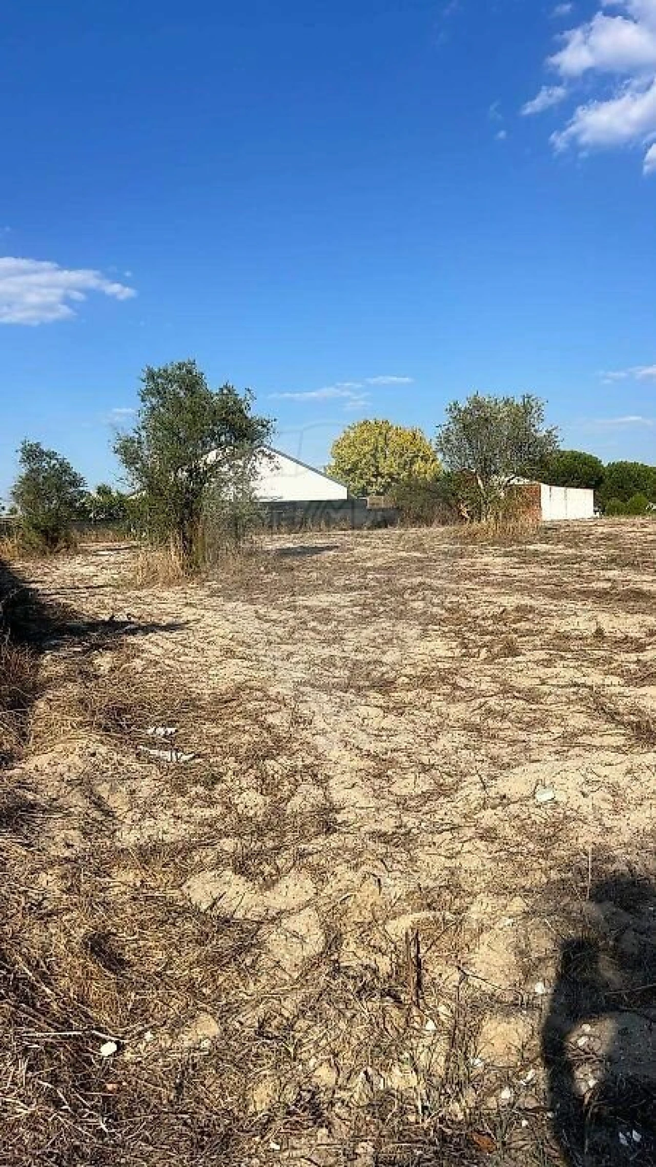 Terreno para Venda em Branca Foto 1