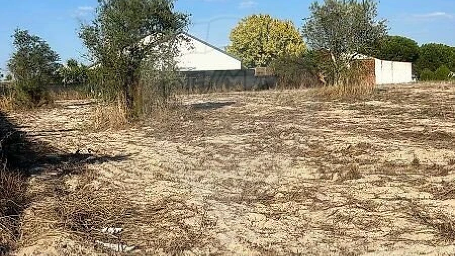 Terreno para Venda em Branca