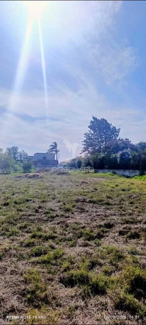 Terreno para Venda em Palmela