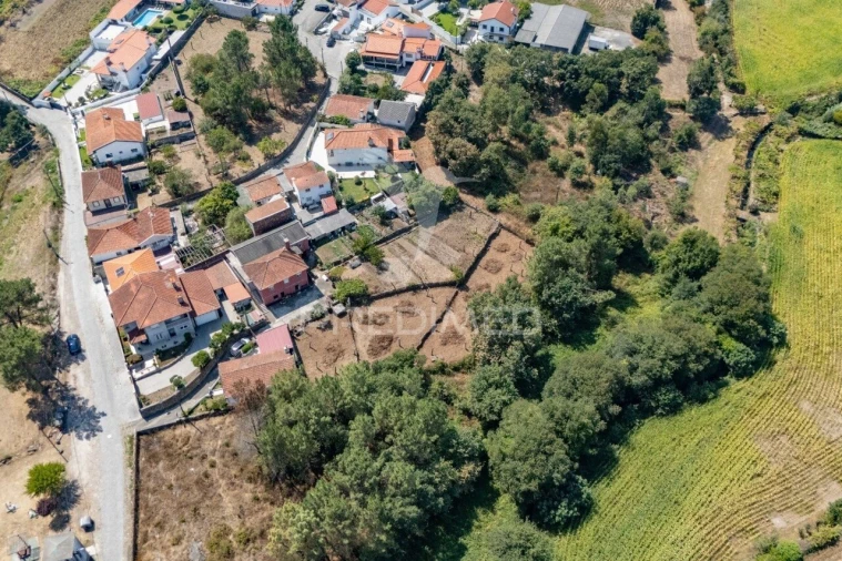 Moradia T3 para Venda em Carvalhal Foto 40