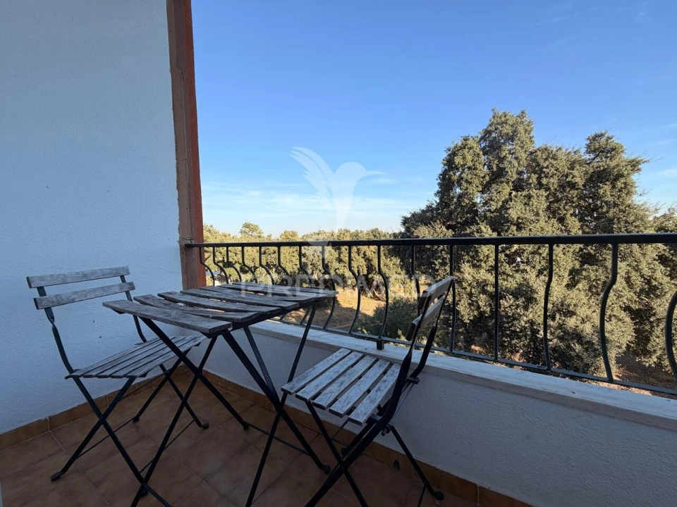 Apartamento T3 para Venda em Amora Foto 32