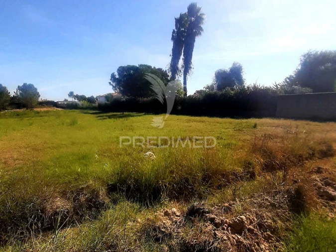 Terreno para Venda em Poceirão e Marateca Foto 4