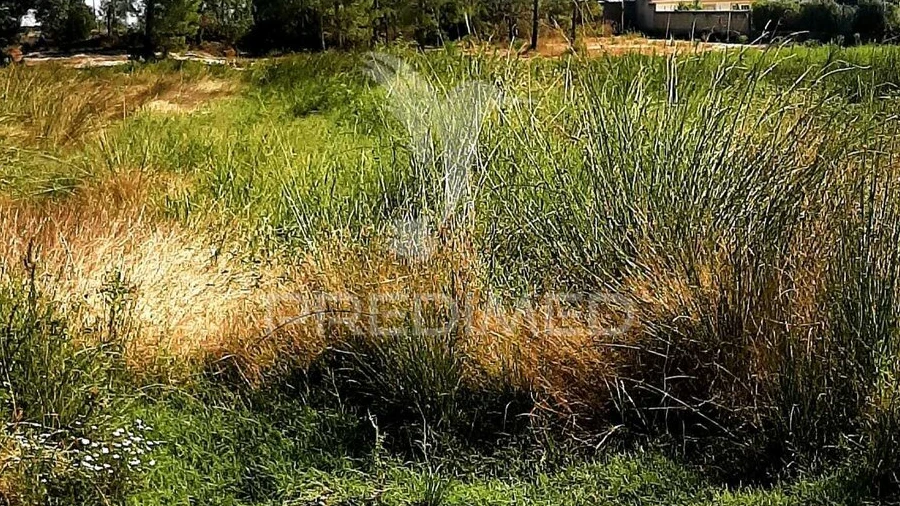 Terreno para Venda em Poceirão e Marateca