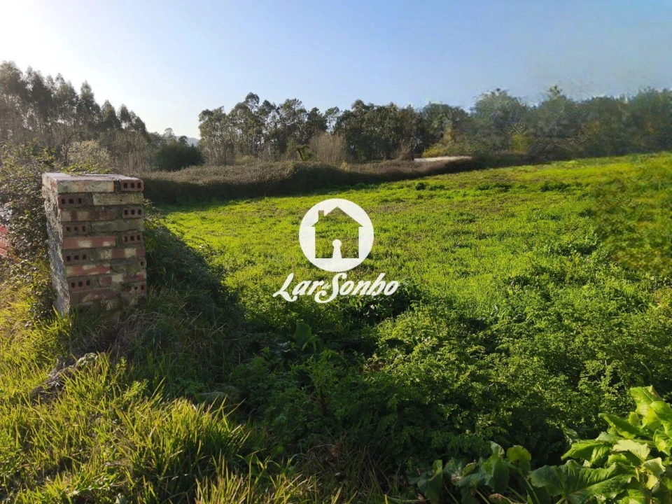 Terreno para Venda em Alvarães Foto 3
