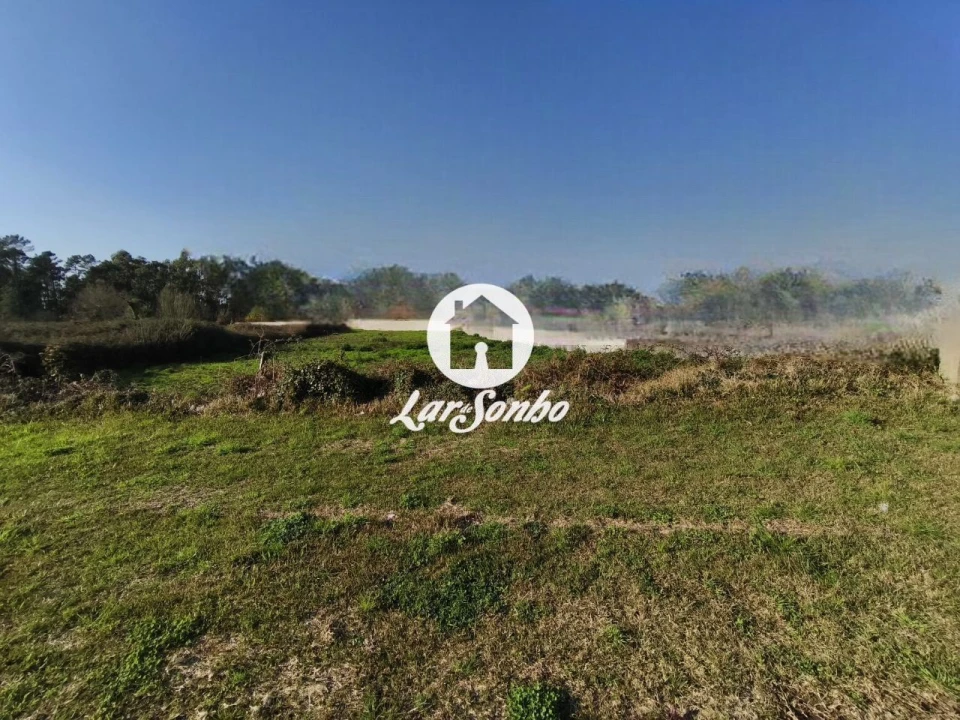 Terreno para Venda em Alvarães Foto 4