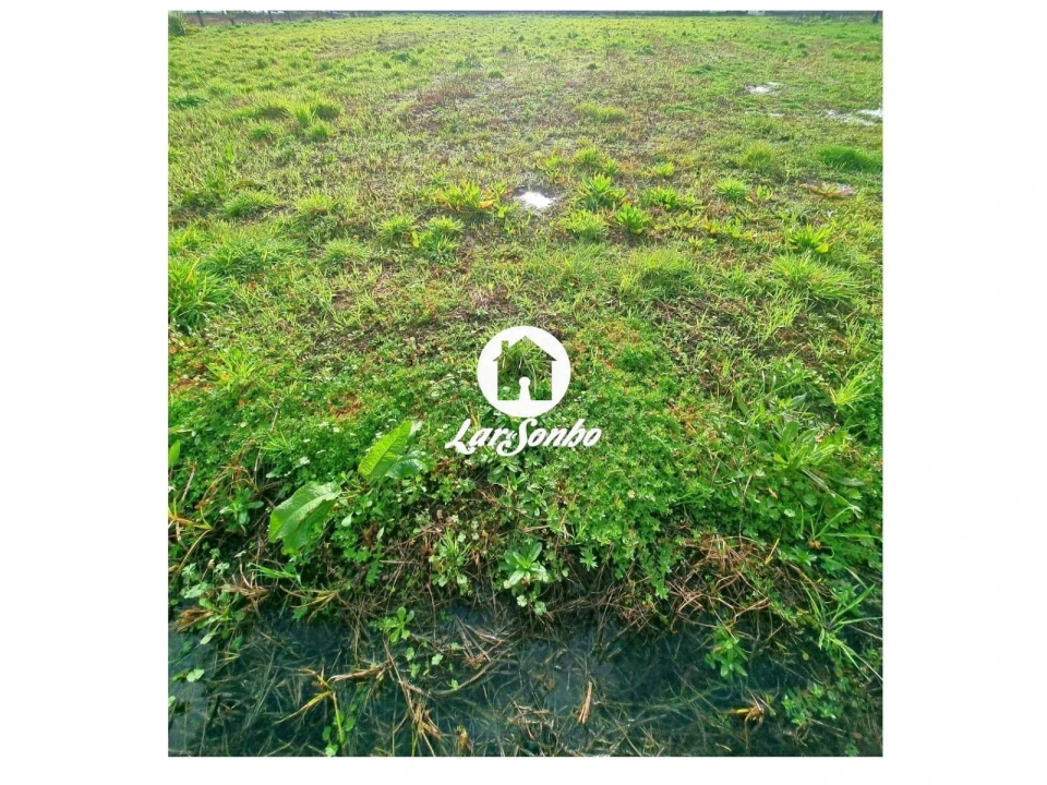 Terreno para Venda em Alvarães Foto 6