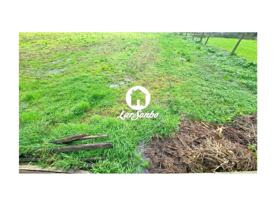 Terreno para Venda em Alvarães Foto 8