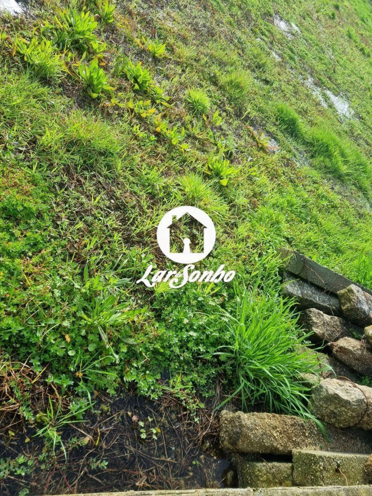 Terreno para Venda em Alvarães Foto 9