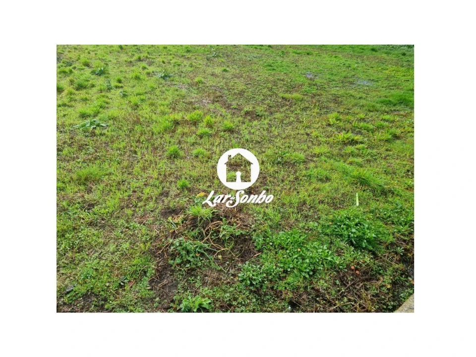 Terreno para Venda em Alvarães Foto 12