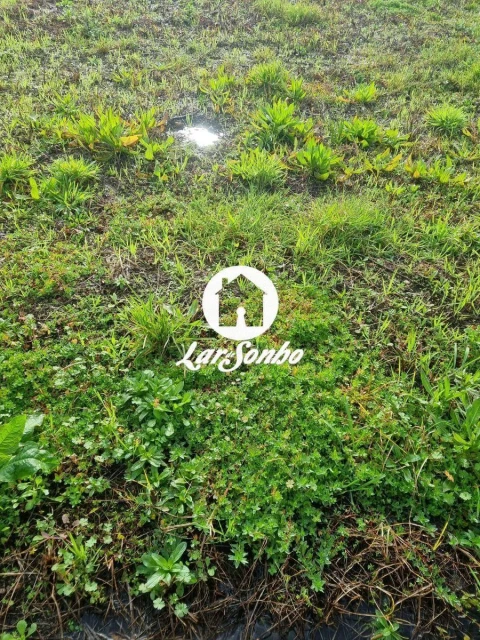 Terreno para Venda em Alvarães