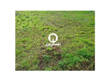Terreno para Venda em Alvarães