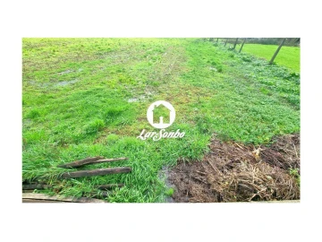 Terreno para Venda em Alvarães