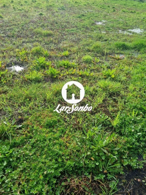 Terreno para Venda em Alvarães
