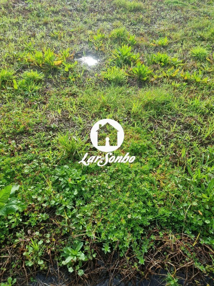 Terreno para Venda em Alvarães Foto 5
