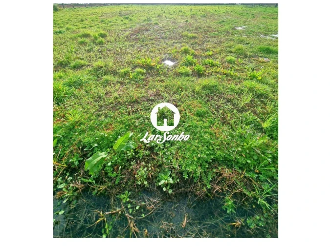 Terreno para Venda em Alvarães Foto 6