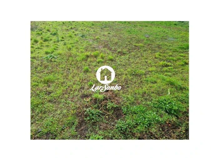 Terreno para Venda em Alvarães Foto 7