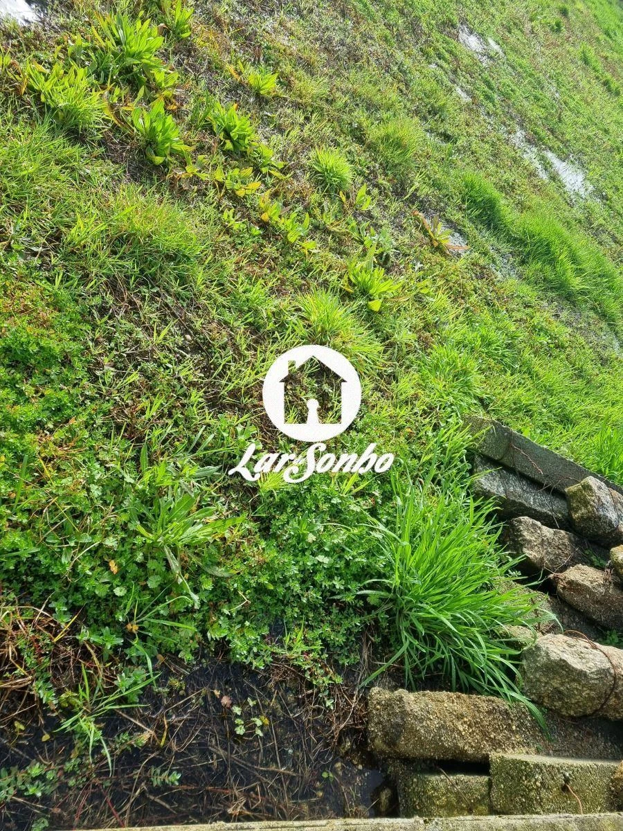 Terreno para Venda em Alvarães Foto 9