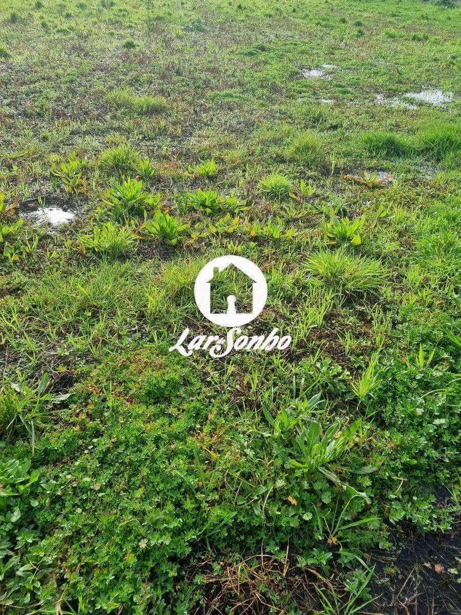 Terreno para Venda em Alvarães Foto 11
