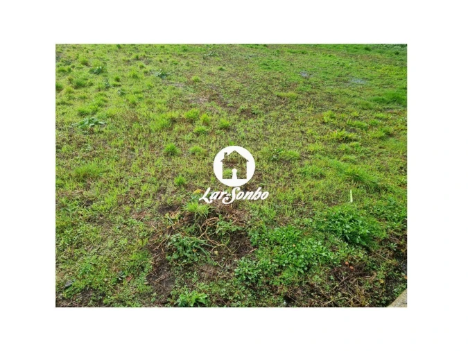 Terreno para Venda em Alvarães Foto 12
