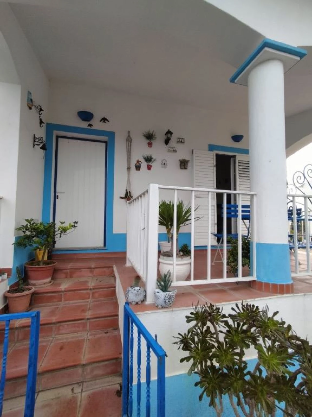 Quinta T3 para Venda em Beja (Santiago Maior e São João Baptista) Foto 5