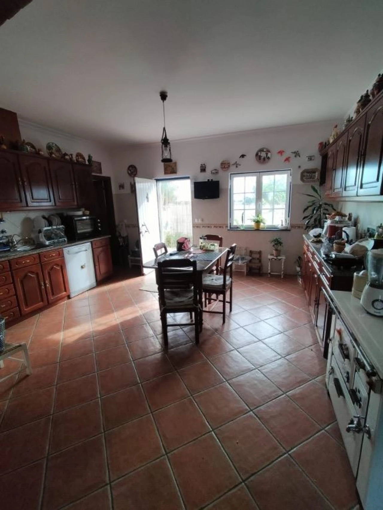 Quinta T3 para Venda em Beja (Santiago Maior e São João Baptista) Foto 7