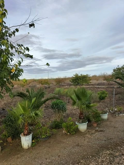 Quinta T3 para Venda em Beja (Santiago Maior e São João Baptista)