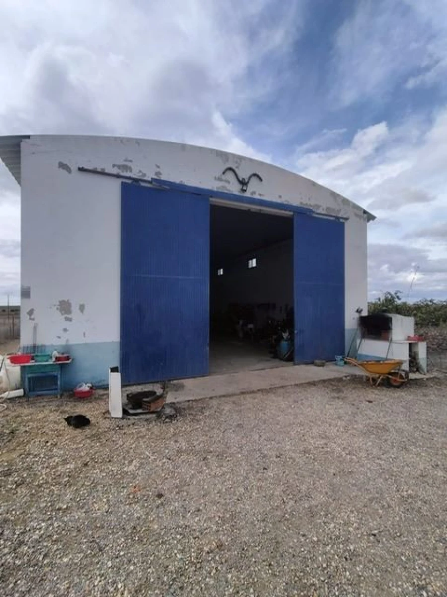 Quinta T3 para Venda em Beja (Santiago Maior e São João Baptista) Foto 14