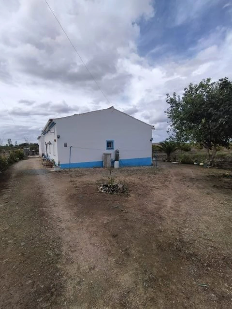 Quinta T3 para Venda em Beja (Santiago Maior e São João Baptista) Foto 15