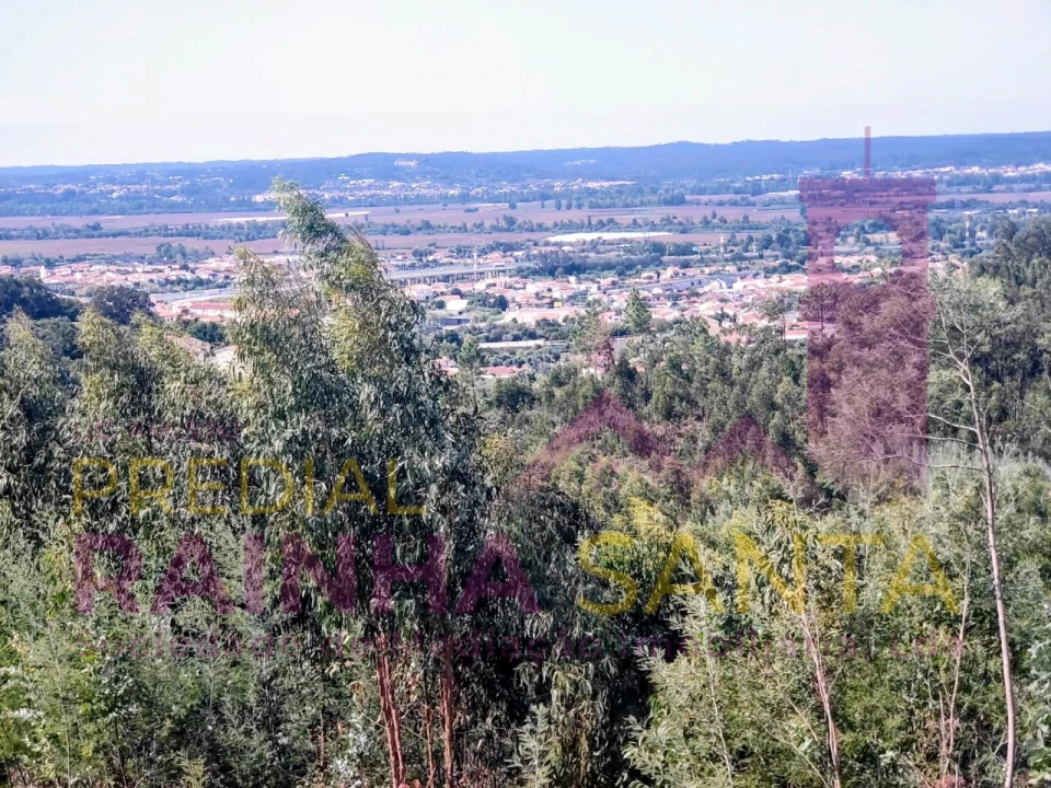 Moradia T4 para Venda em São Martinho do Bispo e Ribeira de Frades Foto 19