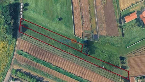 Terreno para Venda em Barrô e Aguada de Baixo