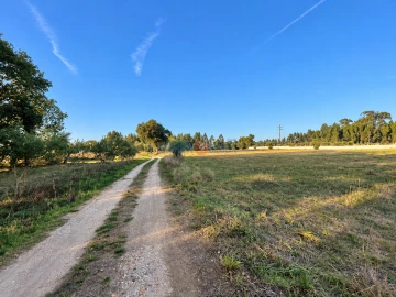 Terreno para Venda em Barrô e Aguada de Baixo