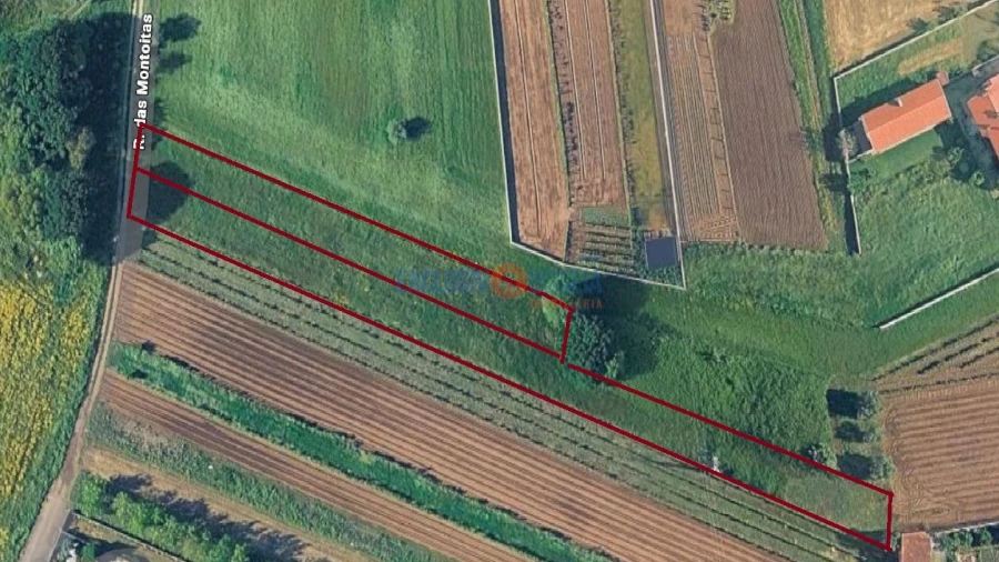 Terreno para Venda em Barrô e Aguada de Baixo