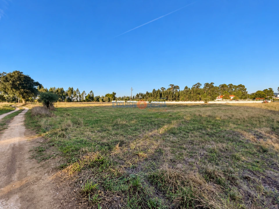Terreno para Venda em Barrô e Aguada de Baixo Foto 6