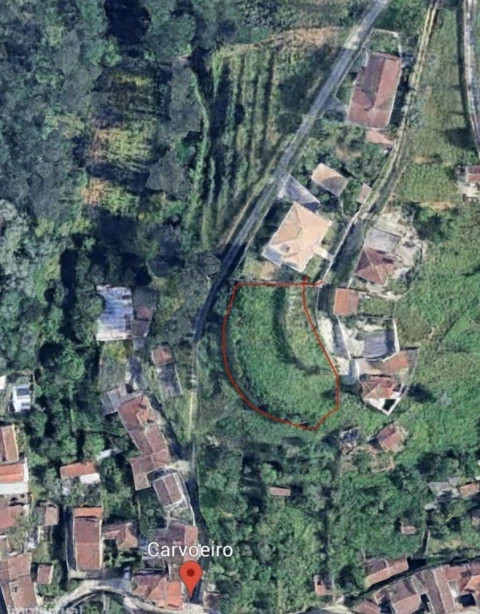 Terreno para Venda em Macinhata do Vouga