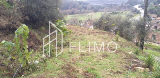 Terreno para Venda em Macinhata do Vouga