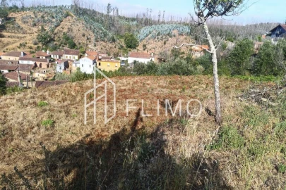 Terreno para Venda em Macinhata do Vouga
