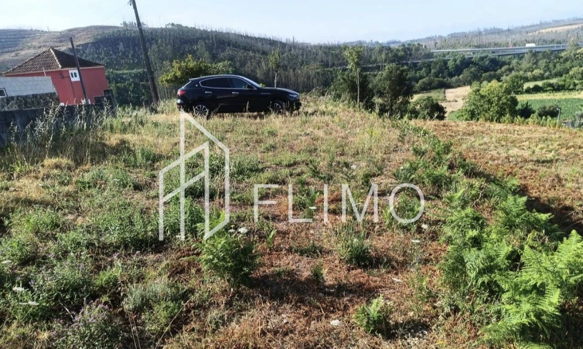 Terreno para Venda em Macinhata do Vouga Foto 13