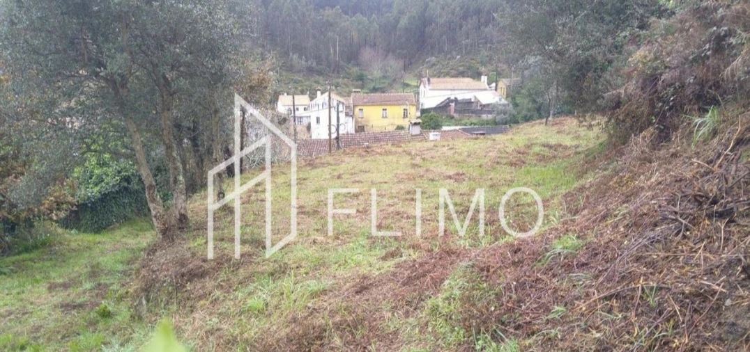 Terreno para Venda em Macinhata do Vouga Foto 9