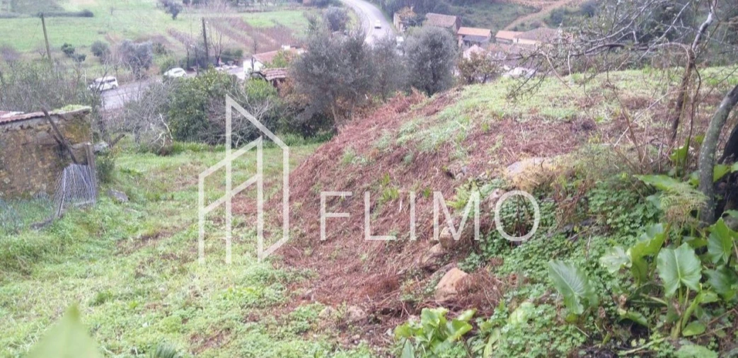 Terreno para Venda em Macinhata do Vouga Foto 8