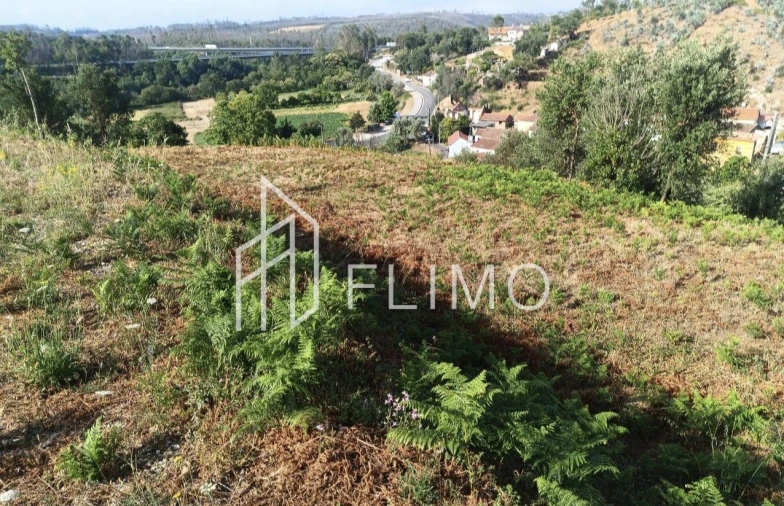 Terreno para Venda em Macinhata do Vouga Foto 14