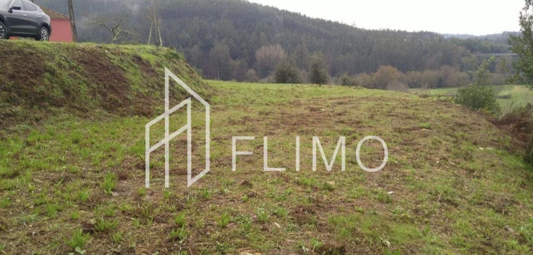 Terreno para Venda em Macinhata do Vouga Foto 12
