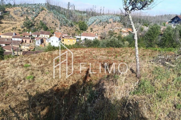 Terreno para Venda em Macinhata do Vouga Foto 11