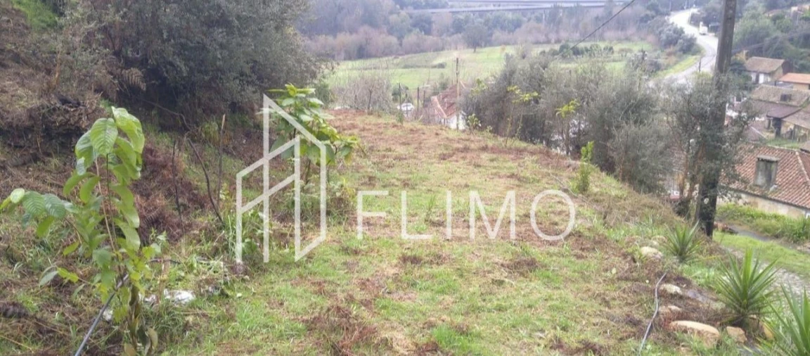Terreno para Venda em Macinhata do Vouga Foto 5