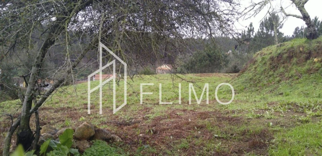 Terreno para Venda em Macinhata do Vouga Foto 2