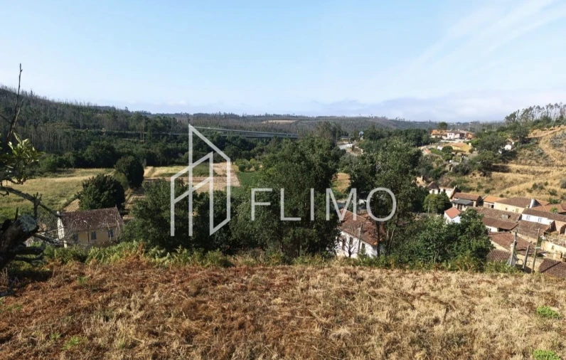 Terreno para Venda em Macinhata do Vouga Foto 7