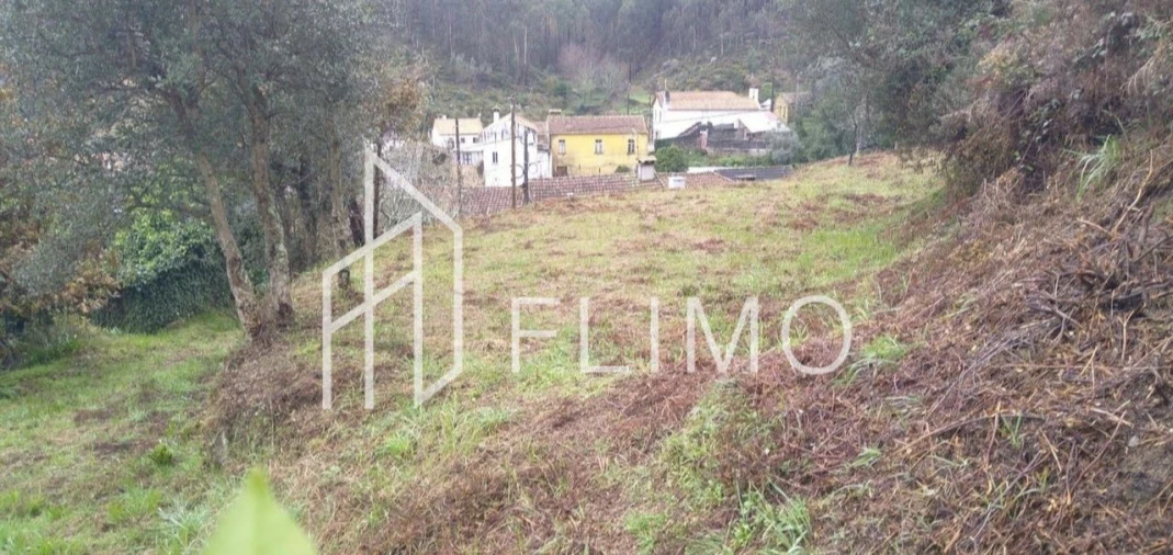 Terreno para Venda em Macinhata do Vouga Foto 4