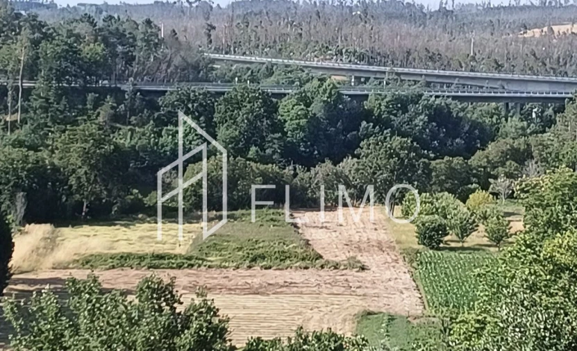 Terreno para Venda em Macinhata do Vouga Foto 6