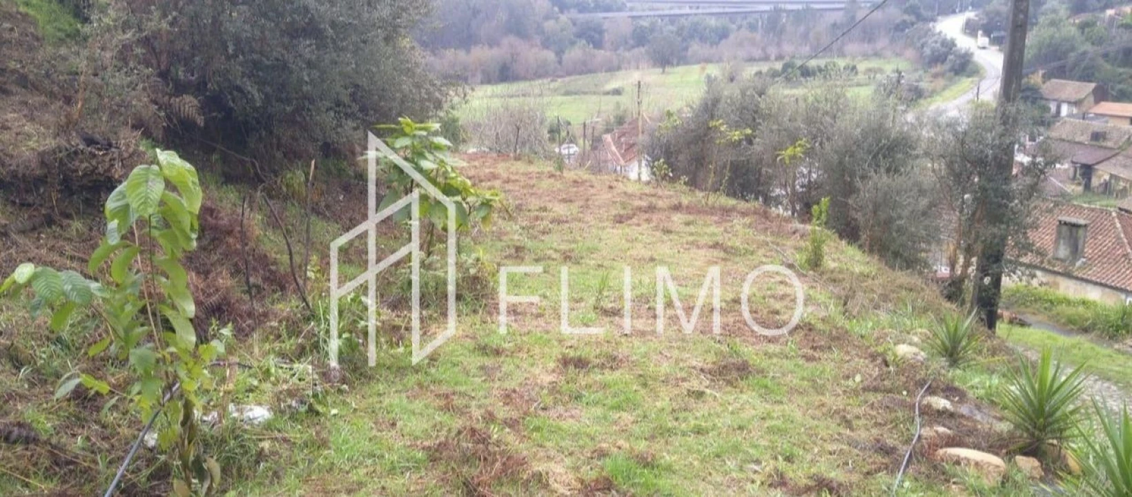 Terreno para Venda em Macinhata do Vouga Foto 5